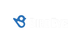 bird-eye-image